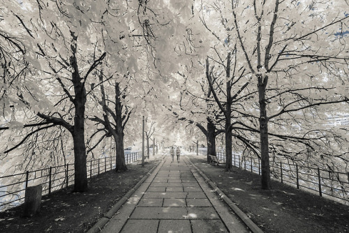 nevver:Paris Infrared, Pierre-Louis Ferrer