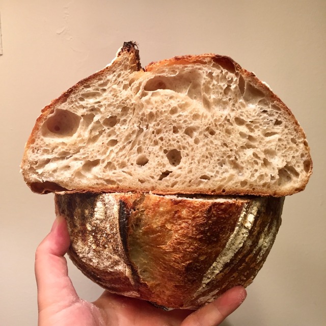 bread on Tumblr