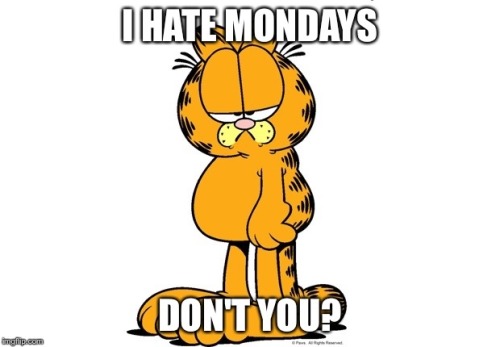 #garfild #IhateMondays