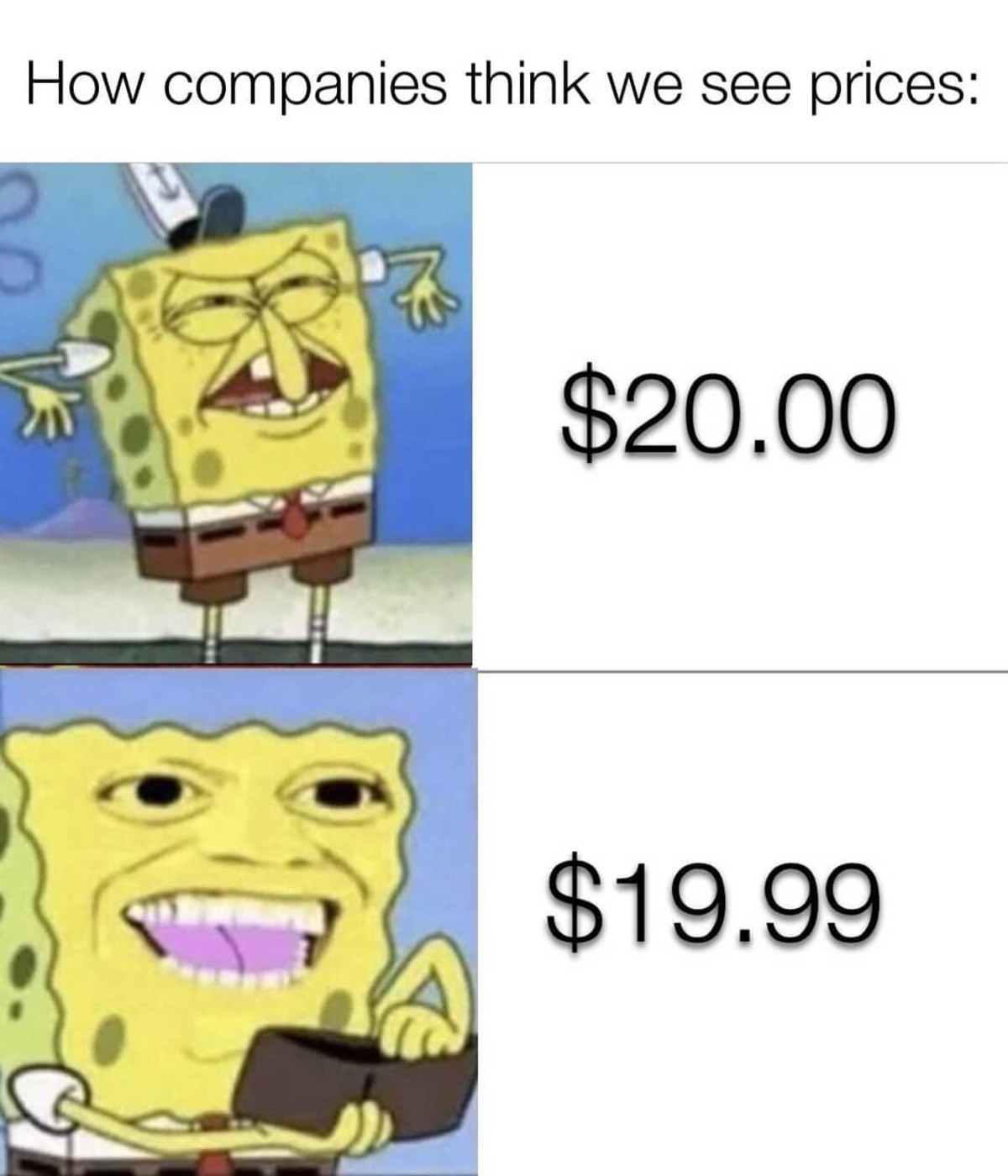 Spongebob Wallet Meme