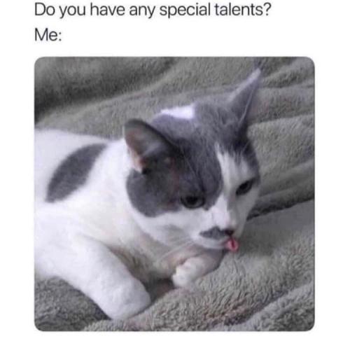 meirlbot