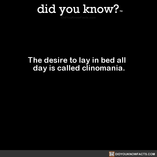 the-desire-to-lay-in-bed-all-day-is-called