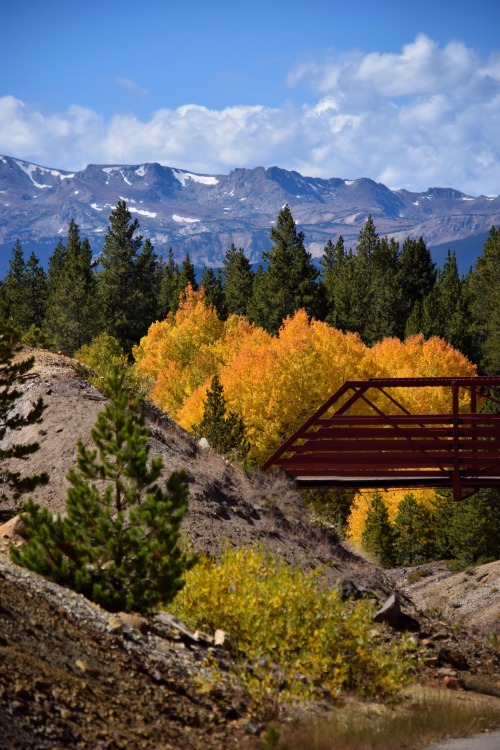 periscope-9:Autumn in my view.Leadville, Colorado.By...