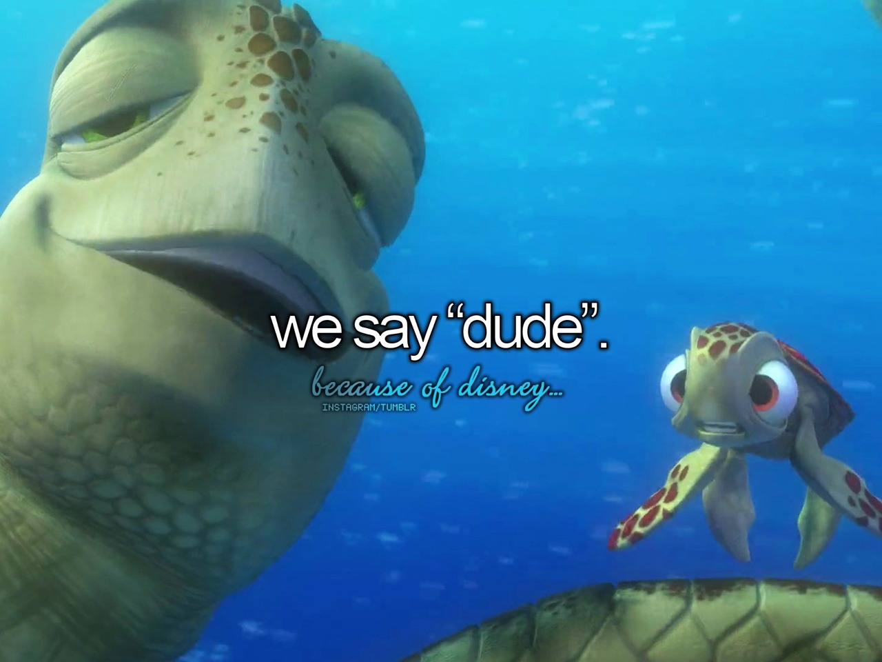 Crush Finding Nemo Turtle Quotes
