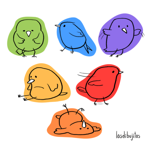 birds birb birbs blobs pajaritos
