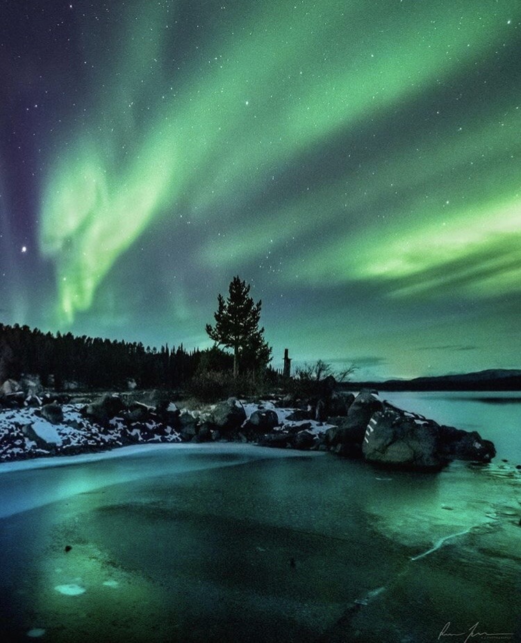 aurora borealis on Tumblr