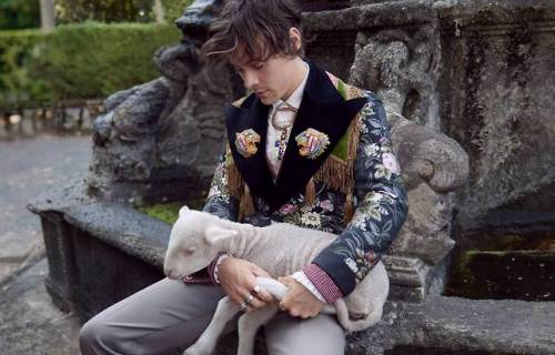 thedailyharry:Harry Styles for Gucci Cruise 2019 Tailoring...