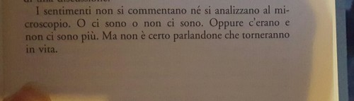 credevodivalerequalcosa:“I sentimenti non si commentano né si...