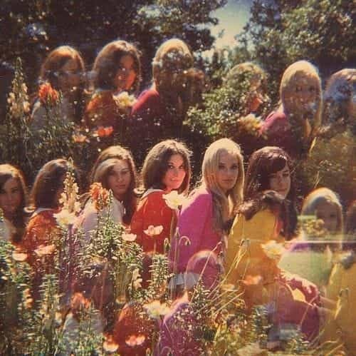 its like a bouquet of flowers // 1970s