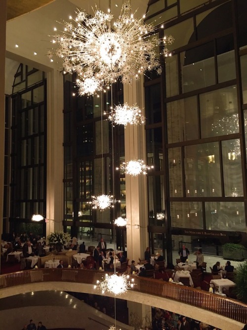 bellestudy:Metropolitan Opera House | New York City