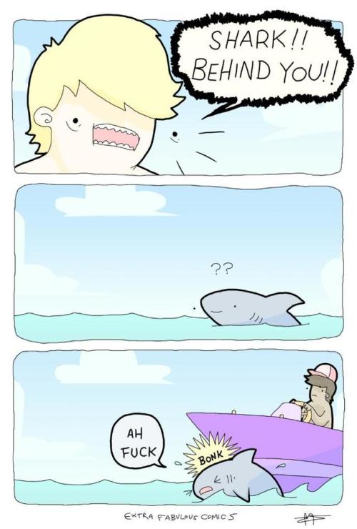 30-minute-memes:shark