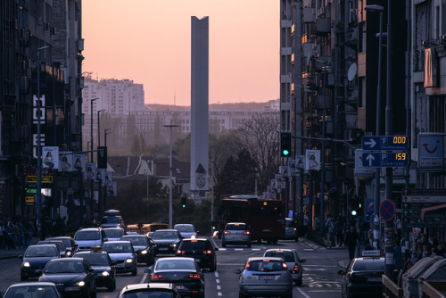 draganadimitrijevic:Zeleni venacBeograd© Dragana Dimitrijević