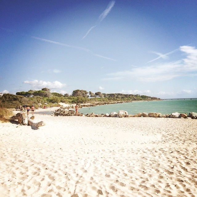 Gabriele Guidoni Vada Spiaggiebianche Beach Spiaggia