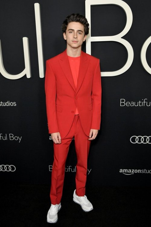 chalametdaily:Timothée Chalamet on the red carpet at the...