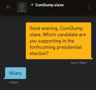 Me: Good evening, CumDump slave. Which candidate are you supporting in the forthcoming presidential election? CumDump slave: Hilary