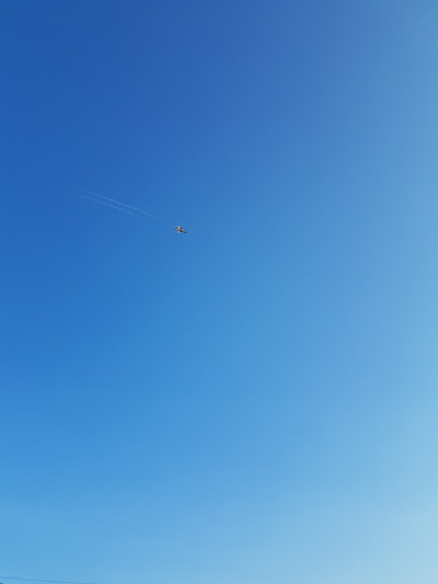sg52