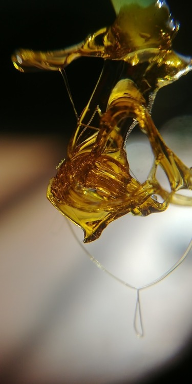 mine shatter og shatterday dab wax DabHead dablife smoke ShatterArt