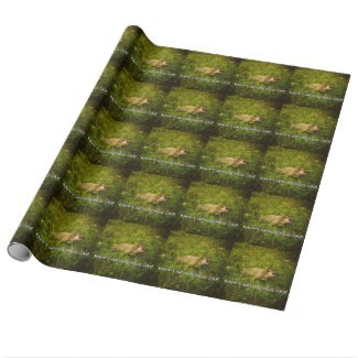 Happy Groundhog Day! wrapping paper