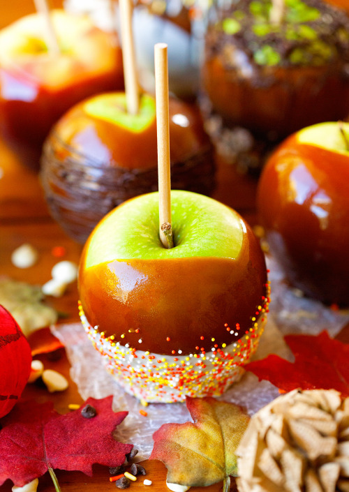 sweetoothgirl:Perfect Caramel Apples