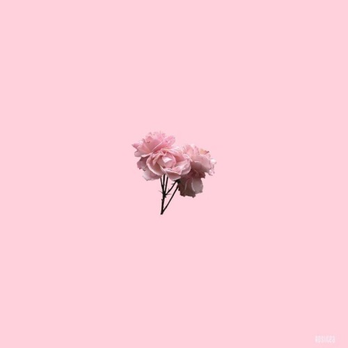 pink icons | Tumblr