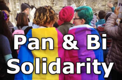 bi-trans-alliance:Solidarity  