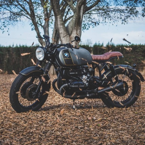 ๐ caferacerpasion.com ๐ Woooow! Europe top! This bike is awesome...