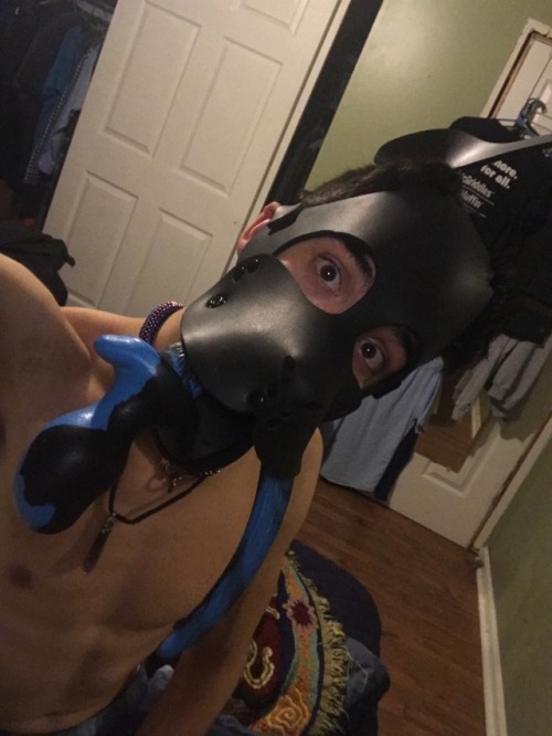 Pup Marco