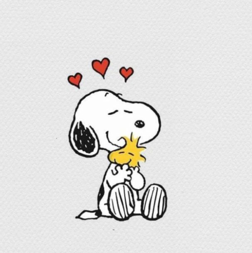 snoopy and woodstock on Tumblr