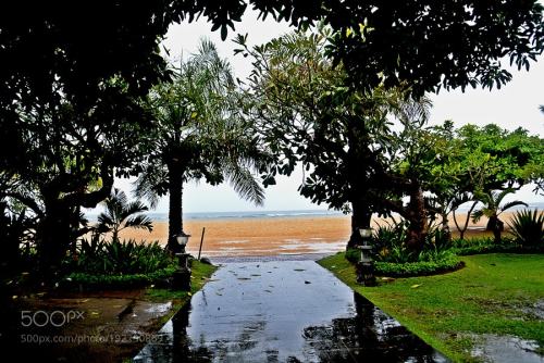 365travelquotes:Walking under the rain by ElvaHermienQue