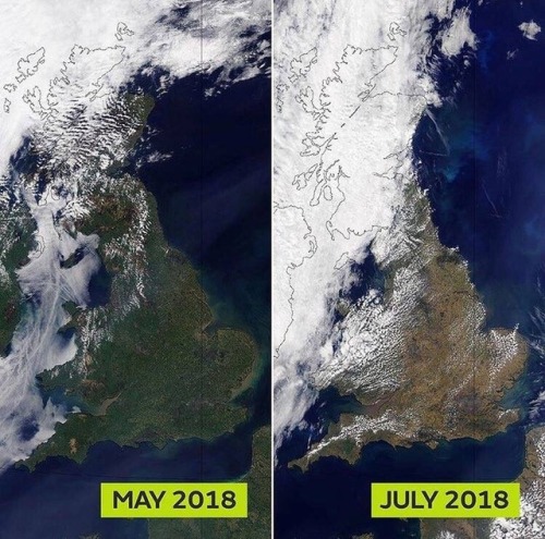 UK turns brown, long periods without rain has changed the view...