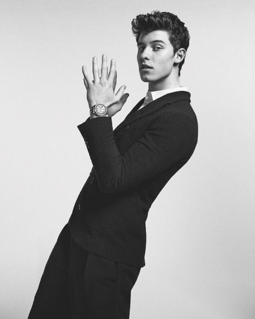 literallyshawn-m:the HANDSShawn Mendes is my dream guy I...