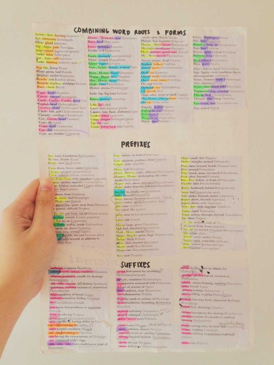 studycamille-5-23-17-medical-roots-prefixes-and-suffixes