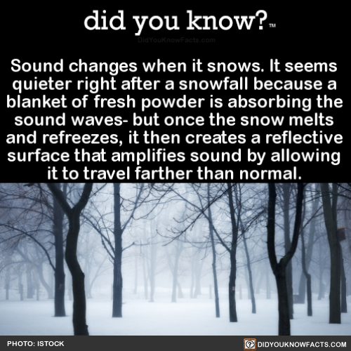 sound-changes-when-it-snows-it-seems-quieter