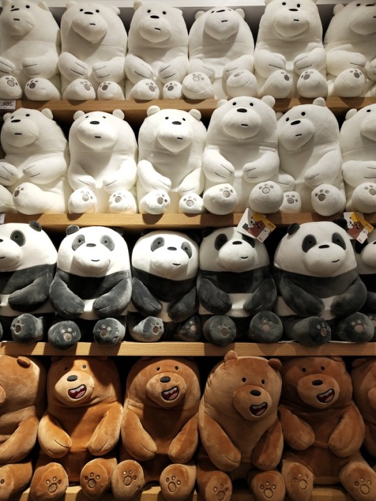 miniso webarebear