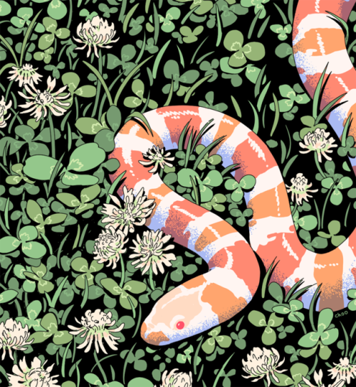 choodraws:milk snake | crop for february (available in full on...