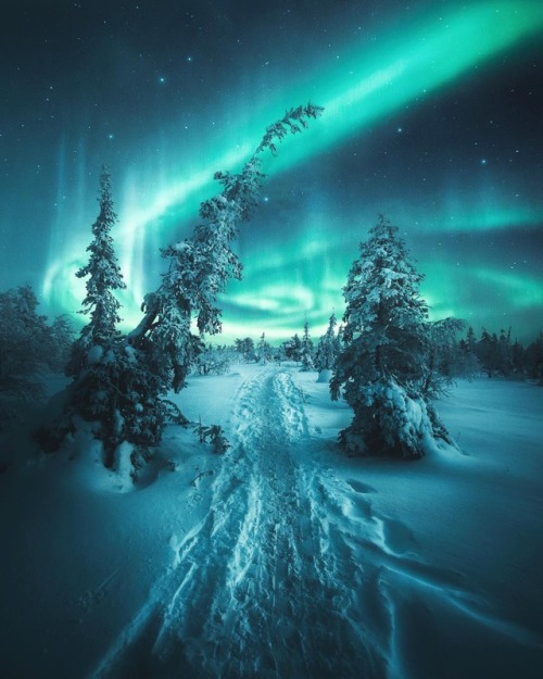 kathyann63:Northern lights. Beautiful.