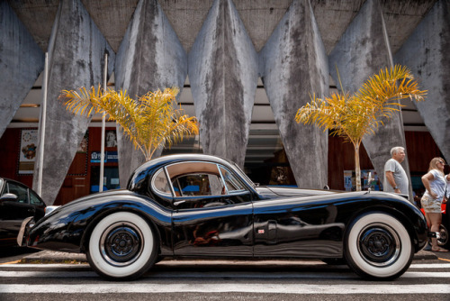 carpr0n: Starring: Jaguar XK120 By Jeferson Felix