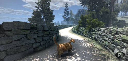 catsbeaversandducks