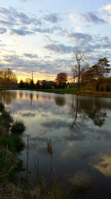 #Dusk #Reflections #OurPond #TheDeepHalf