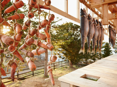 Nest We Grow / UC Berkeley + Kengo Kuma Associates