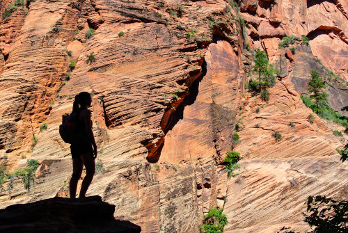 Angels Landing - Zion, Utah, United States