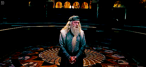Image result for dumbledore welp gif