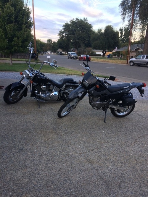 Black bikes matter! I need a Harley. All my buddies need a dual...