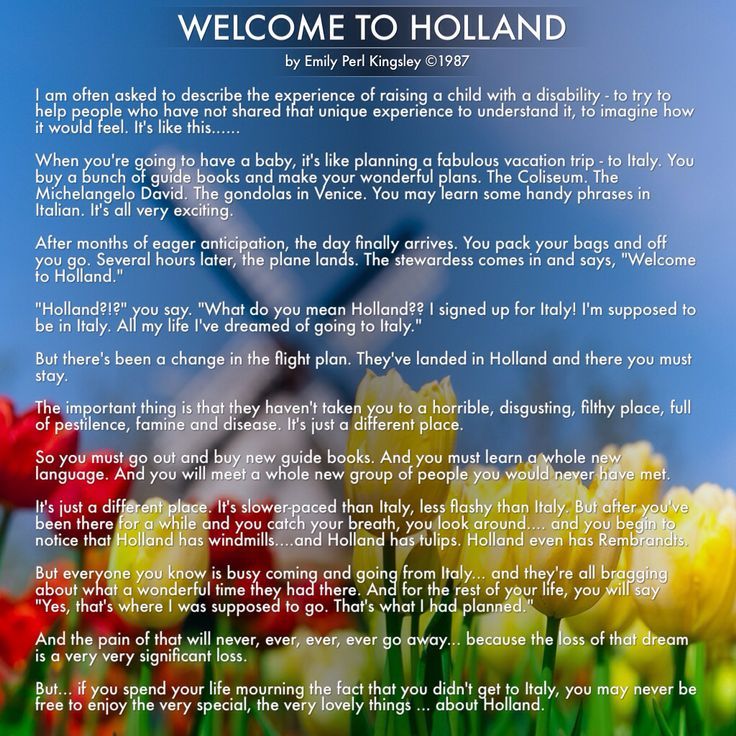 Welcome to holland essay
