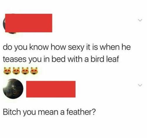 memehumor:Bird leaf