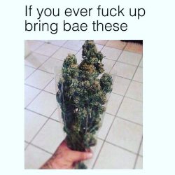 @Unit3D420