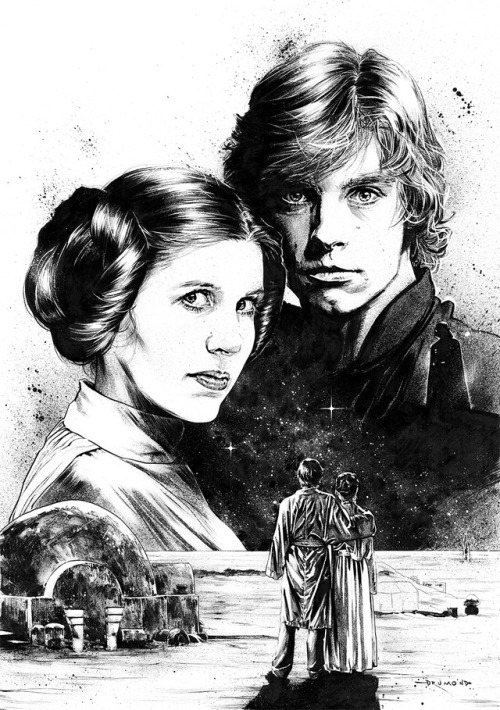 pixalry:Star Wars: Luke & Leia Illustration - Created by...