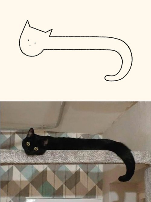 catasters