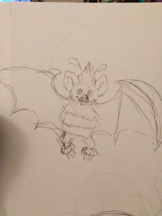 bumblebee bat on Tumblr