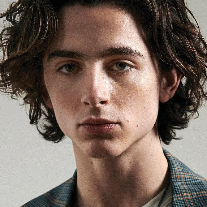 bitches everywhere — Timothee Chalamet • Sagittarius Rising🔥 💥 The...